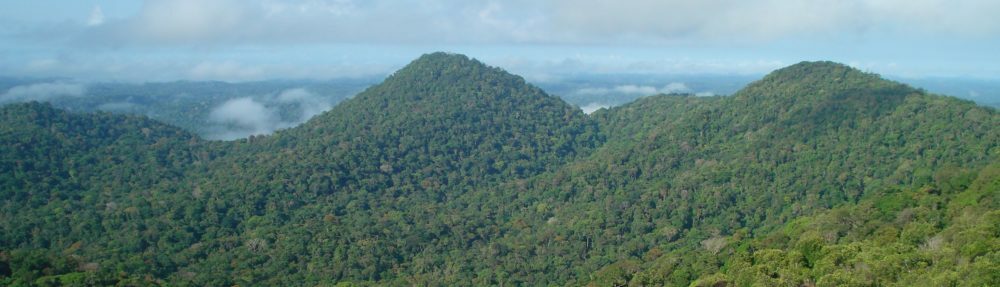 Blog-Trotter d'un Naturaliste Sans Frontières
