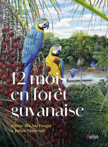 12mois en forêt guyanaise